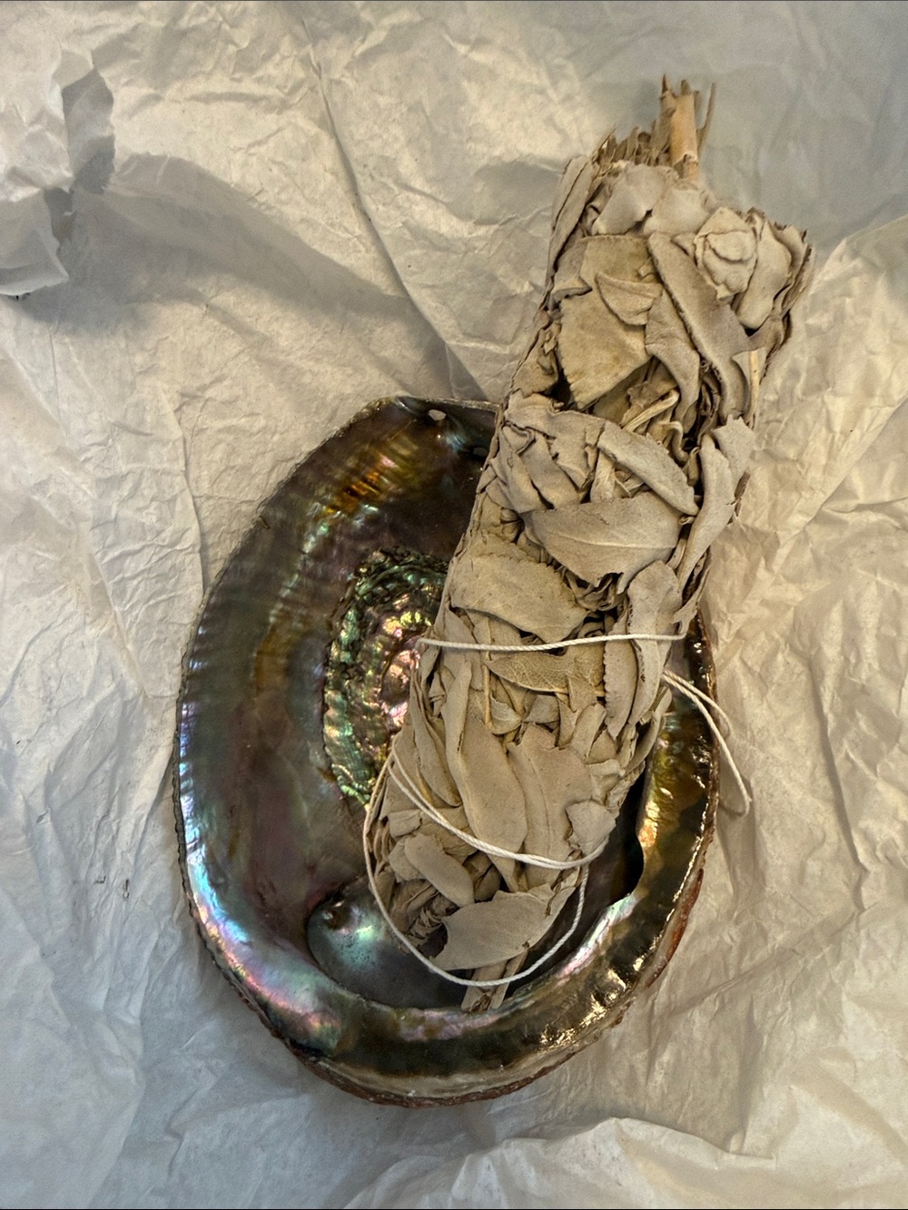 Abalone Shell Smudge Dish with White Sage Bundle